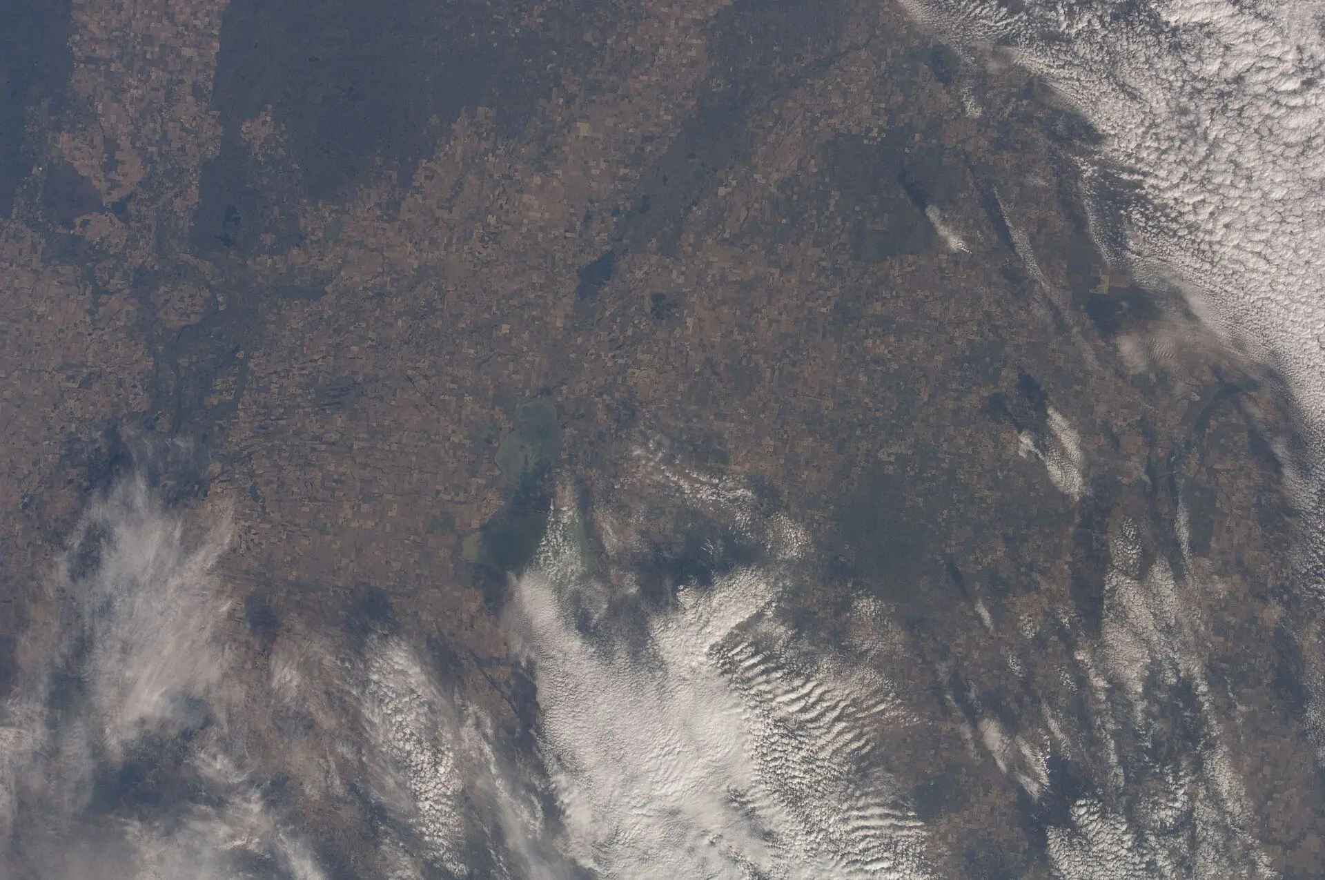 Satellite view of farmland and Last Mountain Lake from the ISS
